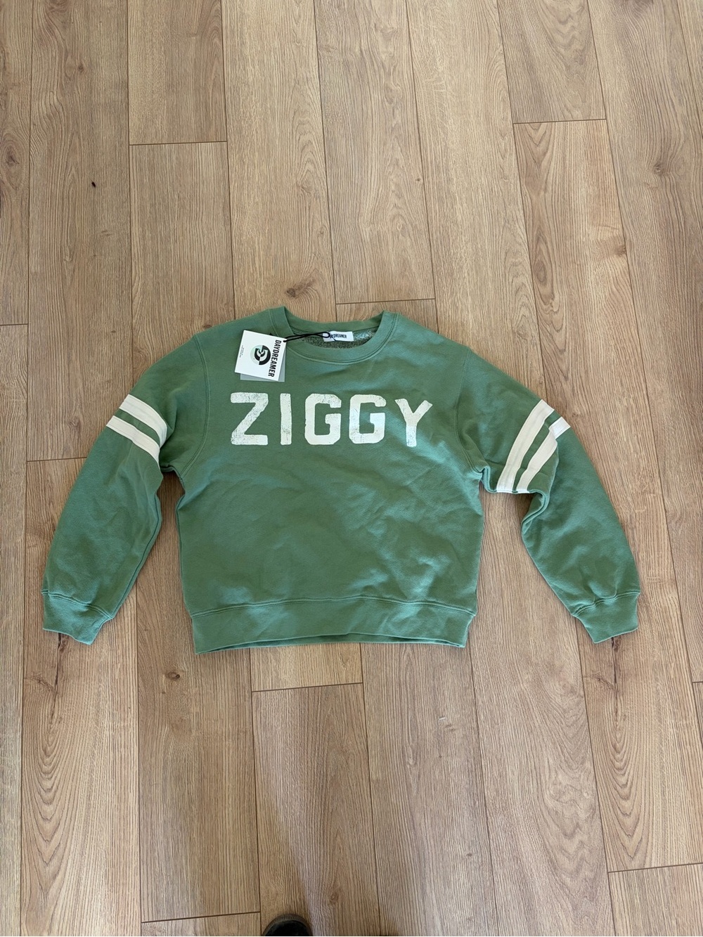 Daydreamer 
Ziggy Stardust Varsity Sweatshirt in Stone Green